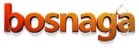 bosnaga login